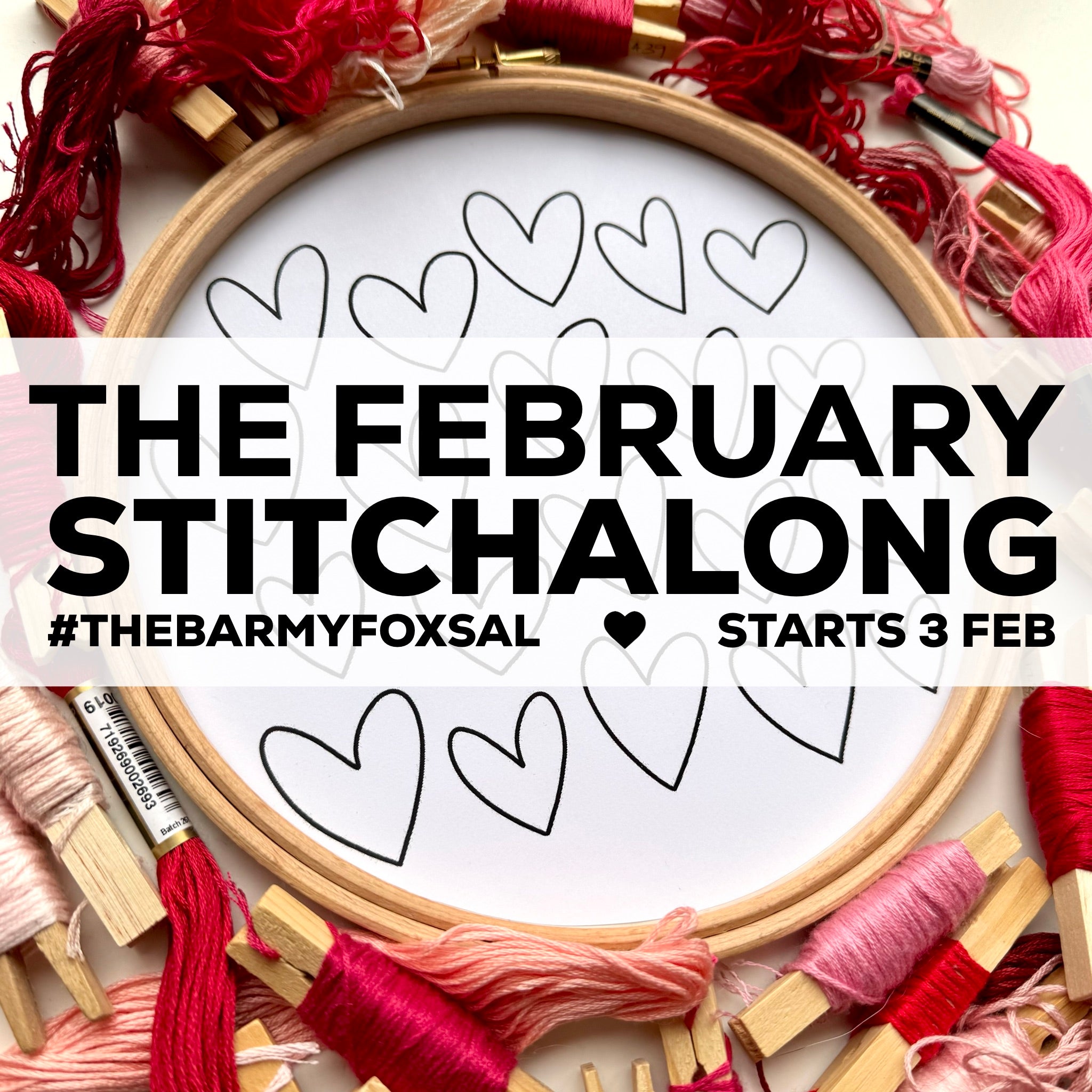 The 2025 FREE February Stitchalong, Live Video Tutorials on Instagram